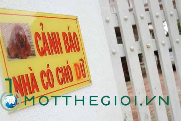 Mỗi căn đều có biển cảnh báo chó dữ.