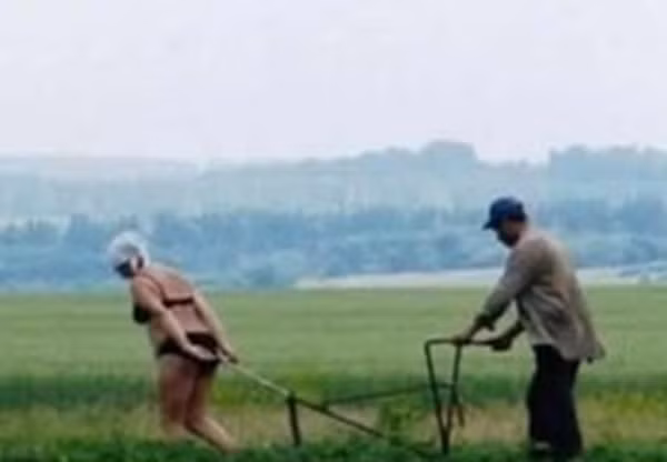 Để vợ kéo cày thay máy, bạn có đành lòng?