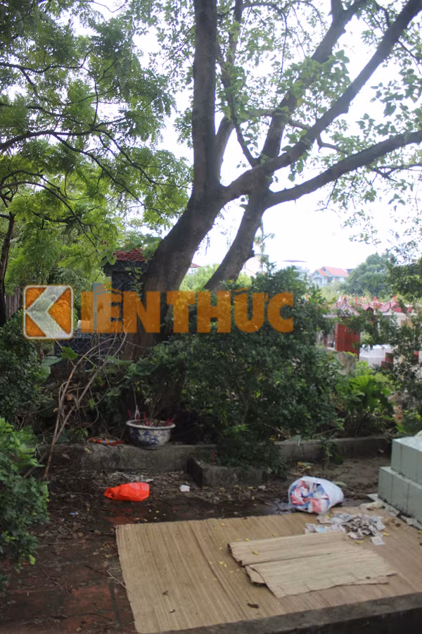 Nơi phát hiện ra thi thể của nạn nhân.