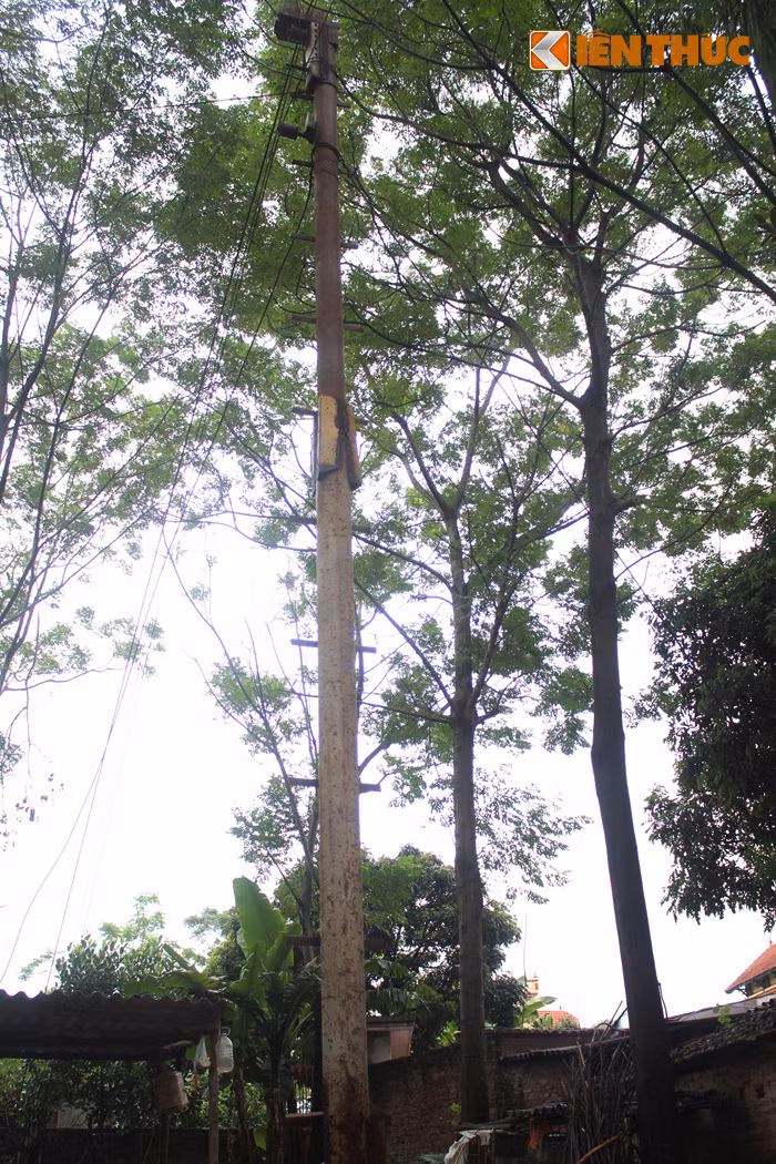 Theo bà Nguyễn Thị Hoa (thôn Mai Châu, xã Đại Mạch, Đông Anh, Hà Nội - Cũng chính là hộ gia đình đang trông coi cáp treo còn hoạt động) cho biết: "Cáp treo được đưa vào sử dụng hơn 1 năm. Chúng tôi cùng nhau quyên góp hơn 20 triệu để tự dựng lên hệ thống cáp treo này (7 hộ gia đình). Mục đích chính chỉ để phục vụ cho việc chở các mặt hàng nông sản trồng bên kia bãi qua sông về cho đỡ vất vả, đỡ nguy hiểm hơn. Trước đây, chưa có cáp treo mọi người thường dùng thuyền nhỏ để đi qua sông".