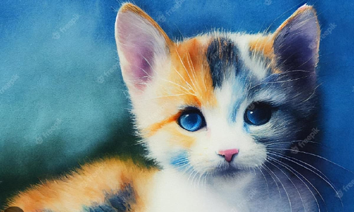 Về tình duyên, sự ổn định tài chính giúp tuổi Mão có thêm nhiều "điểm cộng" trong mắt người khác. Người độc thân sẽ dễ dàng gặp được đối tượng lý tưởng và bắt đầu một chuyện tình đẹp. Với những ai đang yêu, mối quan hệ sẽ thêm bền vững, thậm chí có thể tiến tới hôn nhân trong niềm hạnh phúc viên mãn.