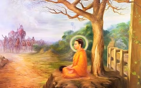 Dieu Phat day: Ai thau hieu, nguoi do co phuc, ca doi an yen-Hinh-2