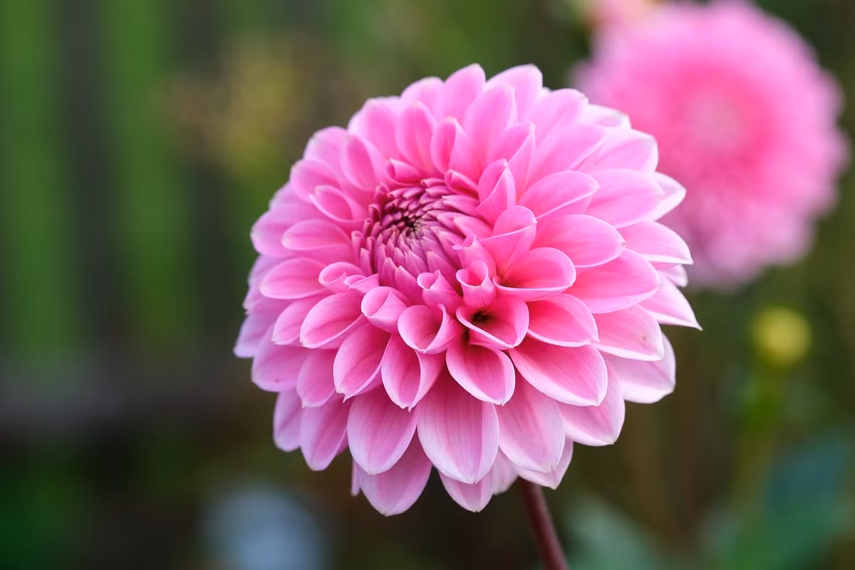 Nguoi sinh vao 4 thang Am lich nay, trung nien thang hoa bat ngo-Hinh-3