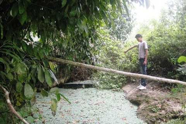 Bí ẩn về “hang nuốt người” ở Lào Cai Bi an ve “hang nuot nguoi” o Lao Cai