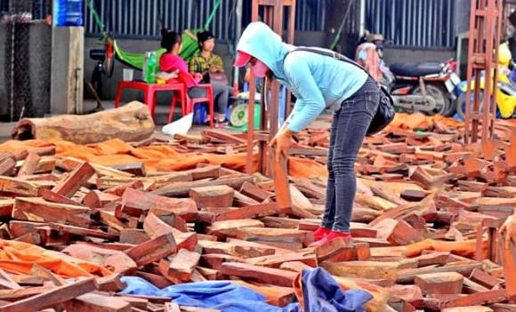 Khu chợ nào ở Việt Nam bán gỗ quý “tiền tỷ” theo cân? Khu cho nao o Viet Nam ban go quy “tien ty” theo can?