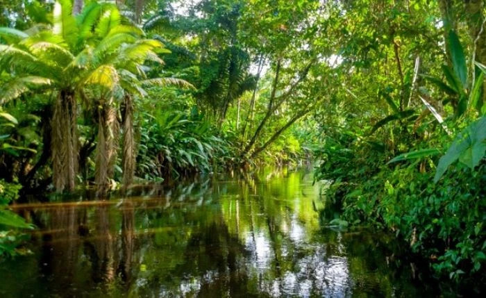 Trai Dat 500 trieu nam truoc khong co con nguoi trong nhu the nao?