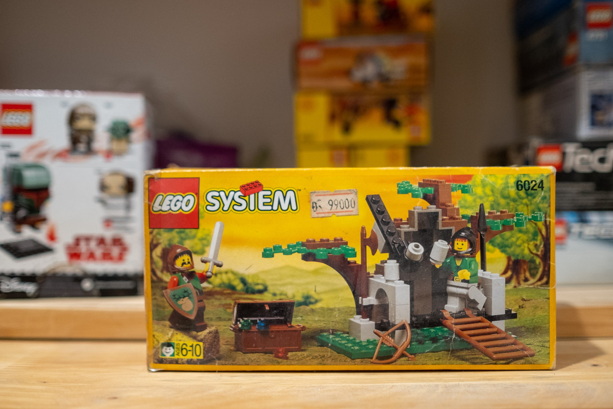 Tính đến thời điểm hiện tại, anh đã sở hữu khoảng 70% các bộ Lego sản xuất từ năm 1989-2000, trong tương lai sẽ hướng đến sưu tập trọn bộ. Hoàng còn mua và lưu trữ các mẫu phiên bản giới hạn, không còn sản xuất trên thế giới.