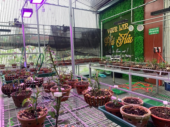 Vườn gồm 2 tầng có thiết kế lưới trên mái không cho côn trùng bay vào và có chức năng che nắng, giảm nhiệt. Tầng trên để trồng và lưu trữ những gốc lan quý hiếm, có giá trị “khủng”, tầng dưới chủ yếu để ươm giống các loại lan đột biến.