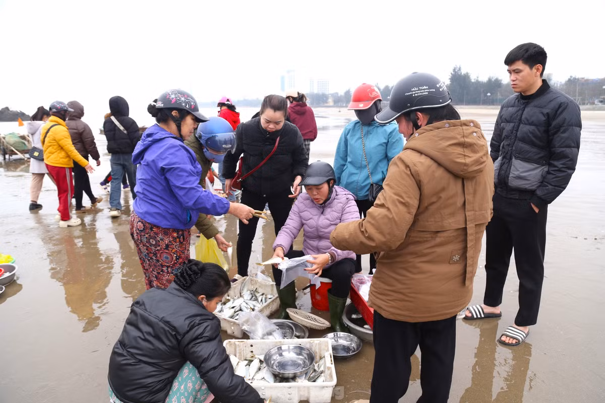 Cảnh mua bán huyên náo, tấp nập một góc bãi biển lúc sáng sớm.