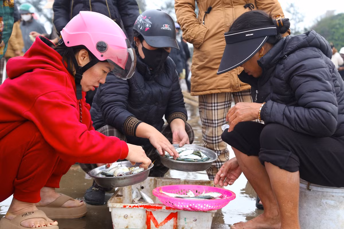 Chị Võ Thị Thu (trú phường Nghi Hương, TP Vinh) vừa mua được mẻ cá tươi rói, hớn hở khoe: “Hôm nào tôi cũng ra đây để mua cá về nấu bữa ăn cho gia đình. Cá vừa gỡ lưới, không ướp đá lạnh hay muối nên rất tươi, đảm bảo an toàn cho sức khỏe”.