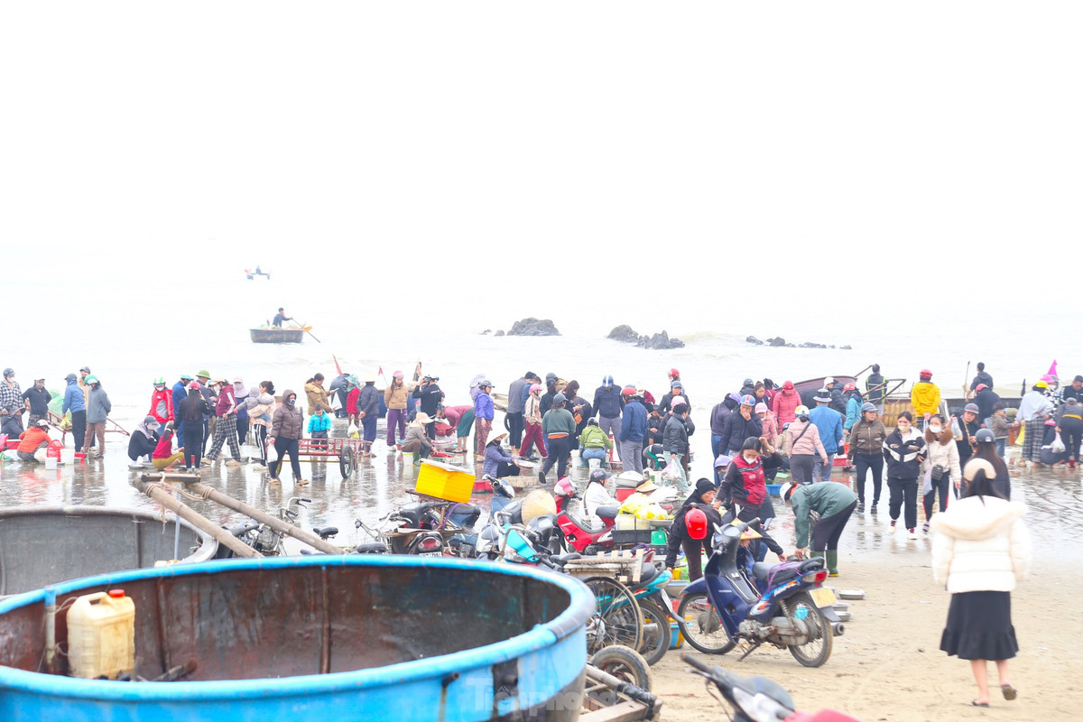 Khoảng hơn 6 giờ sáng, ven đảo Lan Châu, dọc bãi biển Cửa Lò (Nghệ An), những chiếc thuyền thúng của ngư dân trở về mang theo đầy ắp cá, tôm. Trên bờ, người dân và du khách đã chờ sẵn.