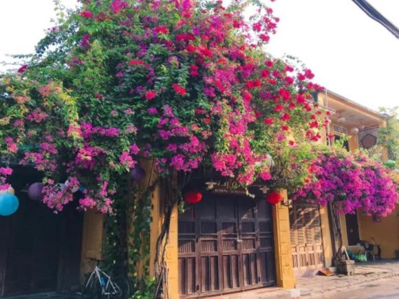 3 diem bao nam moi truoc cua, gia chu tai loc ao toi-Hinh-2