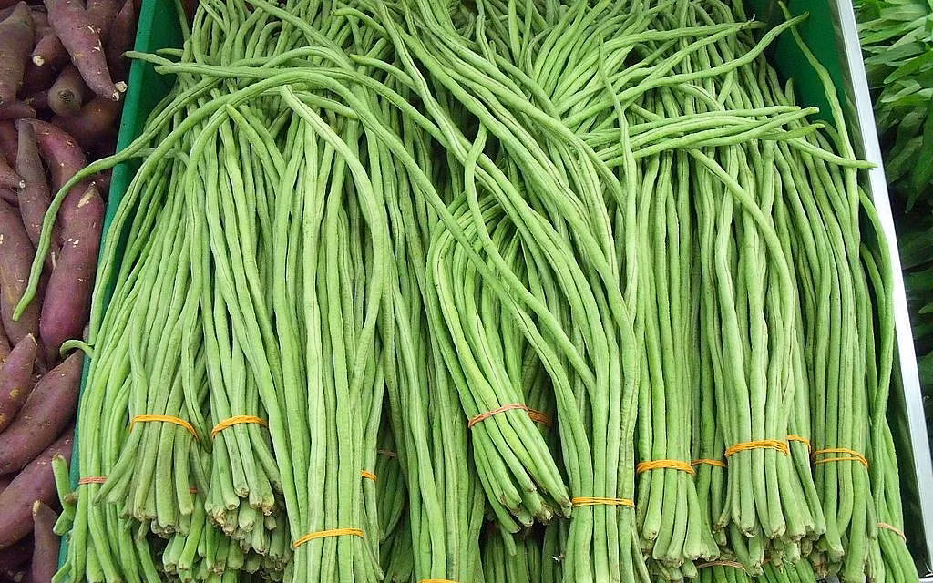 Loai qua dai loang ngoang, la “kho dinh duong”