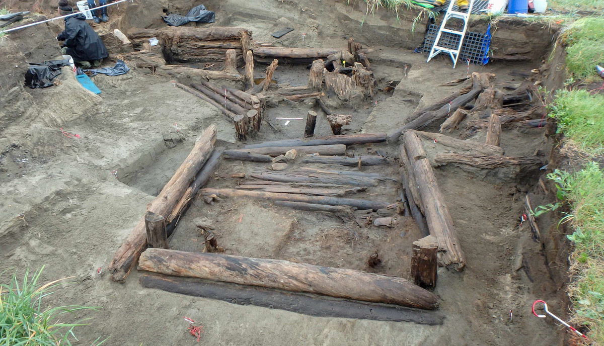 Cụ thể, các nhà nghiên cứu nhận định 2 cỗ quan tài có khả năng chứa hài cốt của những người giàu có, có địa vị cao trong xã hội. Căn cứ vào những gì còn sót lại, loại gỗ được dùng để làm ra 2 cỗ quan tài là gỗ tâm vàng vô cùng quý hiếm và đắt đỏ.