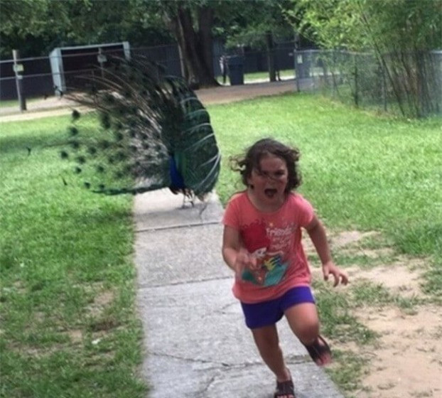 Chuyến đi chơi sở thú bỗng hóa thành nỗi ám ảnh tuổi thơ.