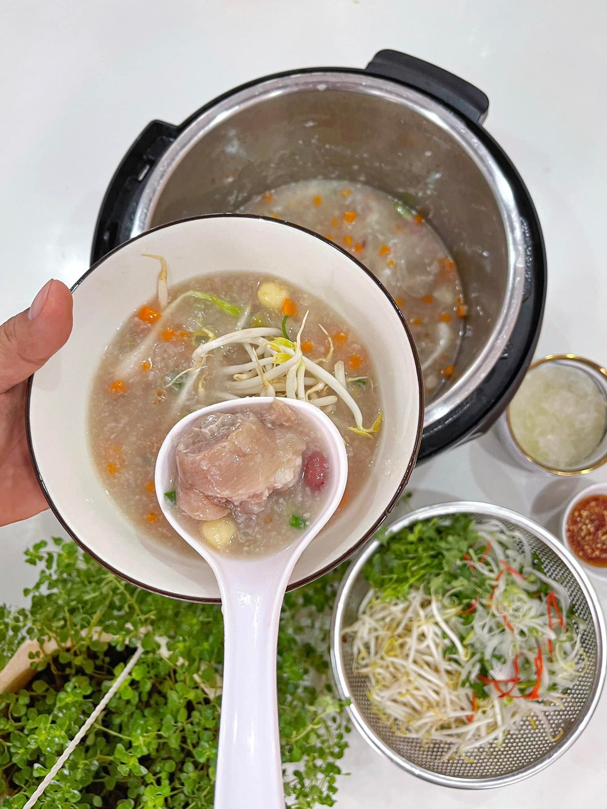 Nấu cháo cực bổ dưỡng, quý giá từ hai nguyên liệu “trên giời, dưới đất” - Hình 4 Nau chao cuc bo duong, quy gia tu hai nguyen lieu “tren gioi, duoi dat”-Hinh-4