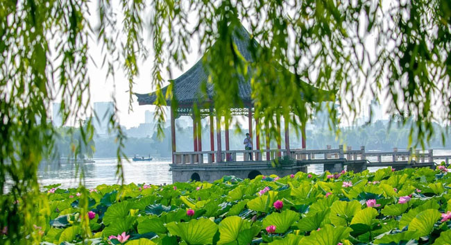 Tương truyền, vào thời nhà Thanh, Càn Long đến thăm Tế Nam đã dừng chân nghỉ ngơi ở hồ Đại Minh. Vì có sự ghé thăm của "Chân long thiên tử" (Hoàng đế) nên "ếch nhái trong hồ đồng thanh kêu và rắn tụ tập bên hồ". Chúng xuất hiện với mục đích chứng kiến gương mặt của Hoàng đế. Đương nhiên cũng có thể là do Càn Long đến quấy rầy nơi sinh sống của loài ếch và rắn nên mới xảy ra hiện tượng này.