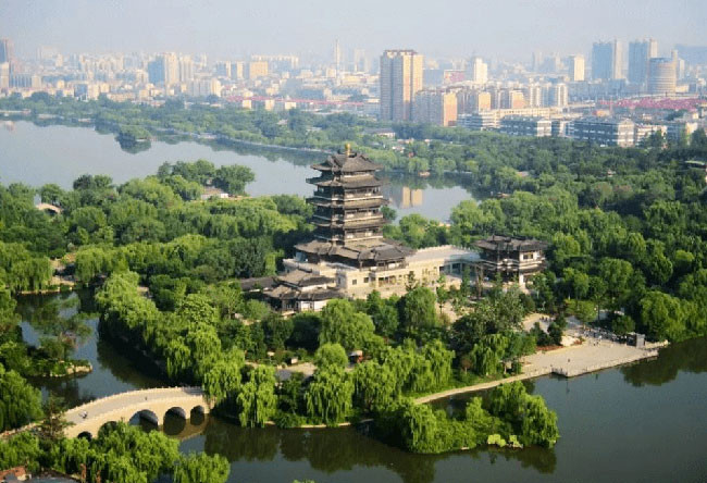 Vi sao noi: Ho Dai Minh, ran khong xuat hien, ech nhai khong keu