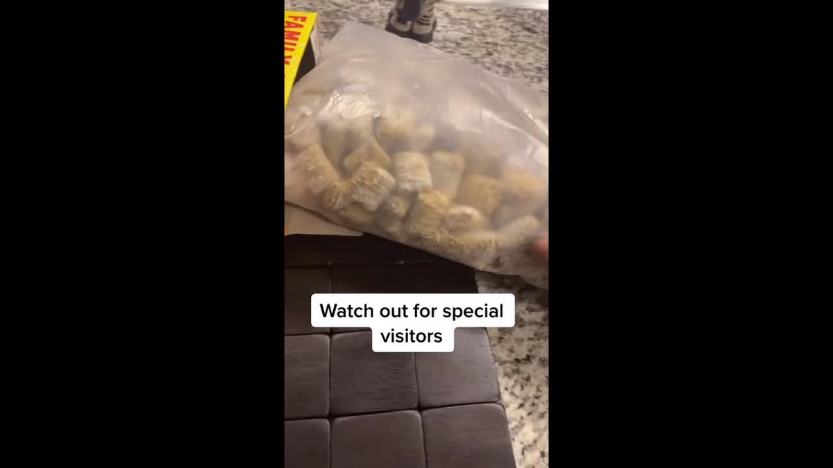 Nghe am thanh la tu hop ngu coc, soc nang khi thay thu ben trong