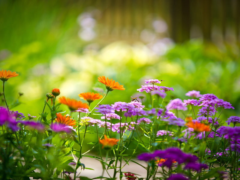  Sinh ngày 22 Âm lịch. Tử vi học có nói, người sinh ngày 22 Âm lịch có tinh thần tích cực và không ngần ngại đối mặt với thách thức. Họ có xu hướng tự lập và tự chủ trong công việc và cuộc sống. Người sinh ngày Âm lịch này có cái nhìn thực tế về cuộc sống và xây dựng kế hoạch chiến lược để đạt được mục tiêu dài hạn. 