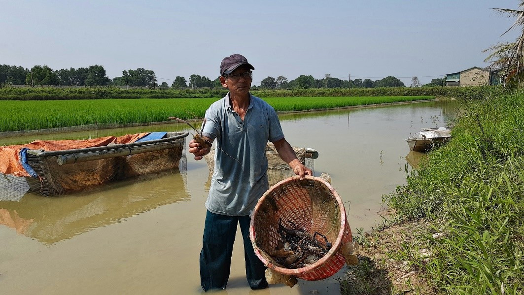 Bien ruong hoang thanh trang trai, ong nong dan Quang Tri thu 12 ty/nam