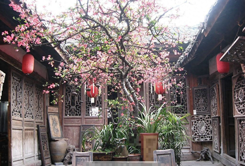 Vì sao nói trồng cây hướng đông, con cháu giàu có, thịnh vượng? - Hình 10 Vi sao noi trong cay huong dong, con chau giau co, thinh vuong?-Hinh-10