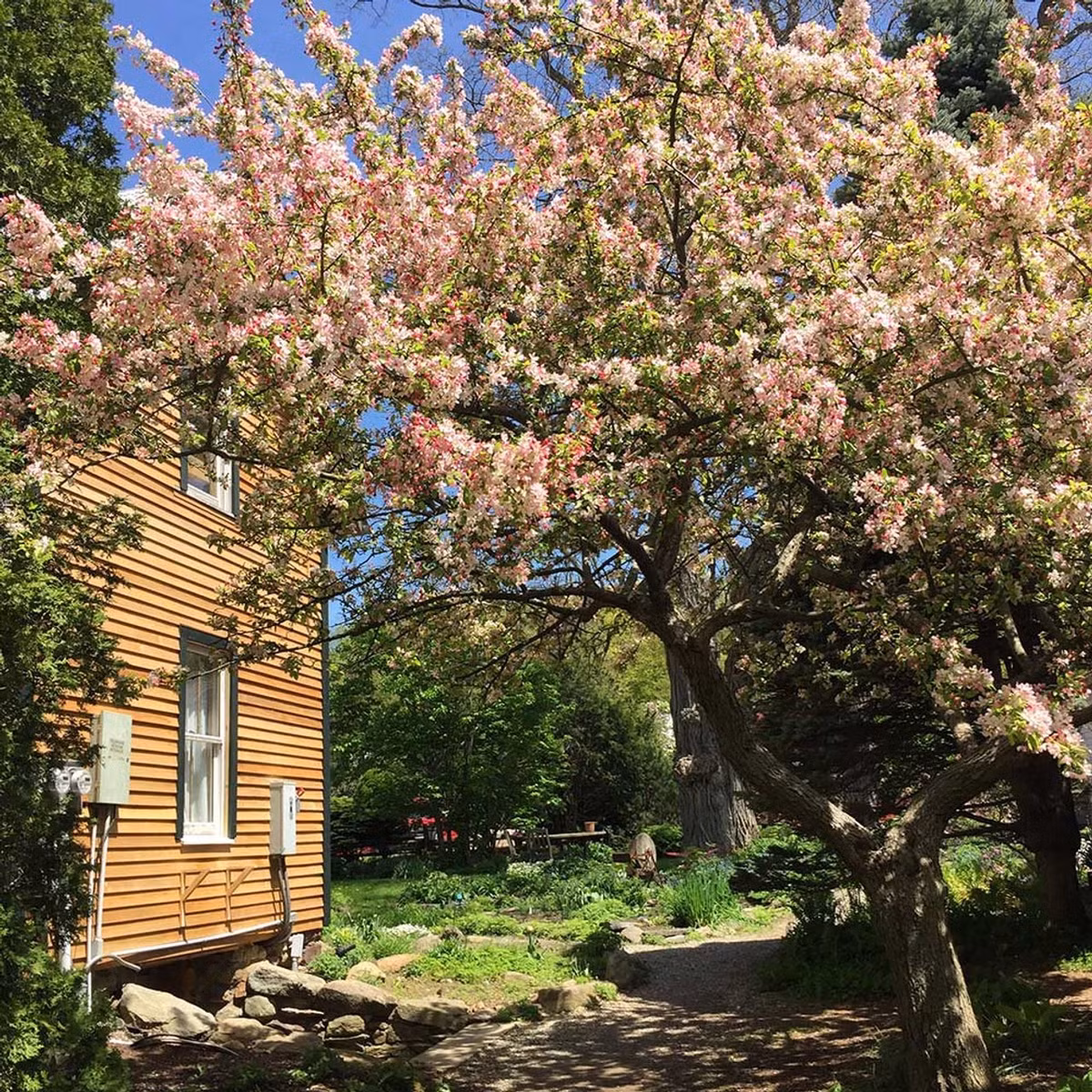 Vi sao noi trong cay huong dong, con chau giau co, thinh vuong?-Hinh-11