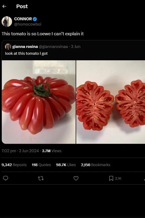 Nhung mau tui doc dao khac thuong cua Loewe