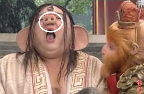 Trư Bát Giới có tận những 4 lỗ mũi cơ đấy.