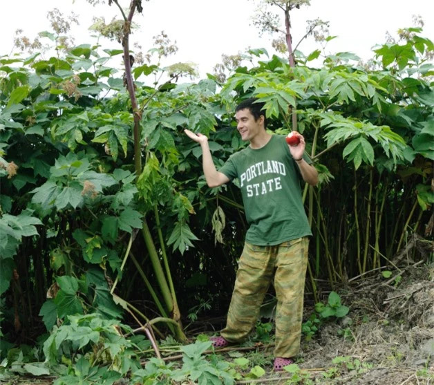 Vùng đất đặc biệt tại Nga, cây cối phát triển đột biến - Hình 2 Vung dat dac biet tai Nga, cay coi phat trien dot bien-Hinh-2