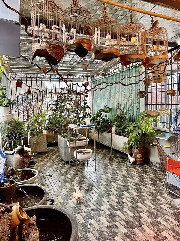 Vo chong NSUT Nguyet Hang, Anh Tuan khoe nha moi hien dai-Hinh-4