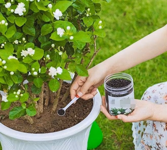 Cham lam 3 viec nay de hoa nhai no ca tram bong-Hinh-2