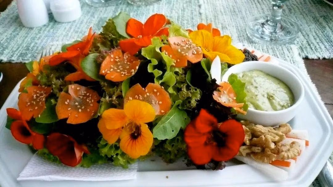 Trong cay sen can trong chau treo mang may man cho gia dinh-Hinh-7