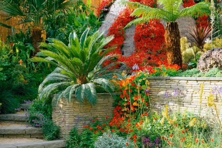 Trong cay sen can trong chau treo mang may man cho gia dinh-Hinh-11