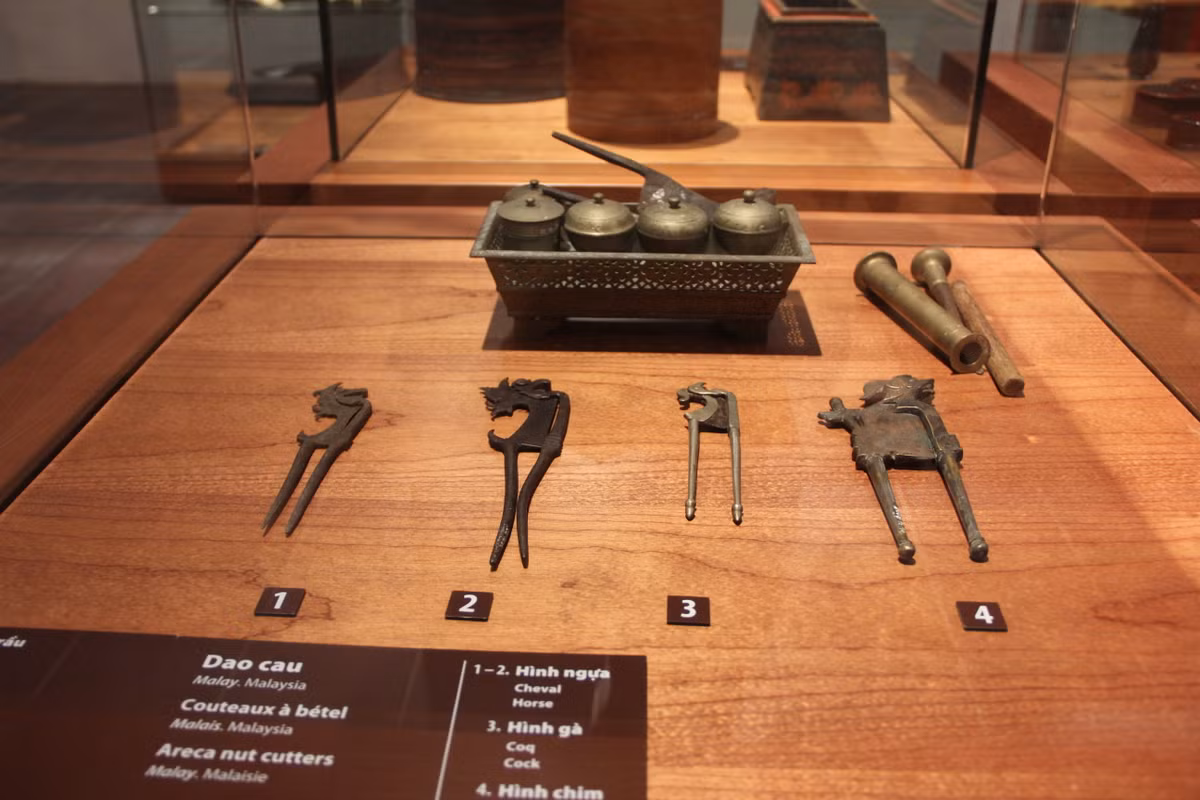 Gian trưng bày được khai trương, đánh dấu mốc cho bắt đầu hoạt động của Bảo tàng Đông Nam Á.