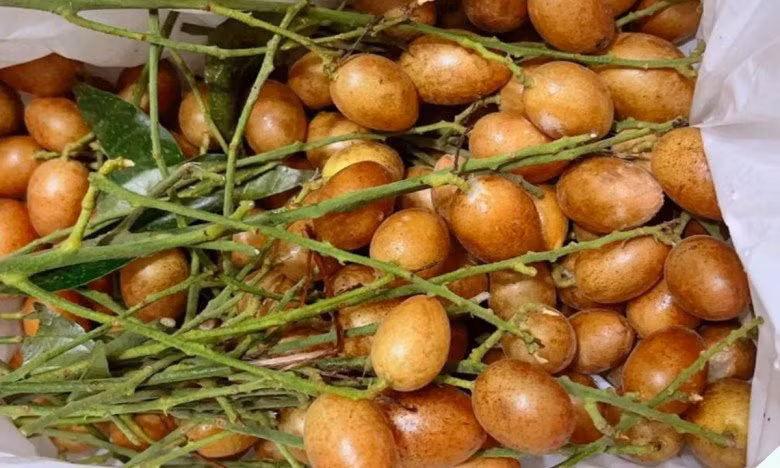 Loai qua goi nho tuoi tho hoa ra la duoc lieu quy-Hinh-11