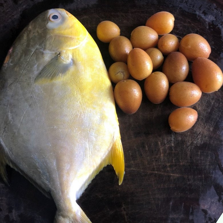 Loại quả gợi nhớ tuổi thơ hóa ra là dược liệu quý - Hình 3 Loai qua goi nho tuoi tho hoa ra la duoc lieu quy-Hinh-3