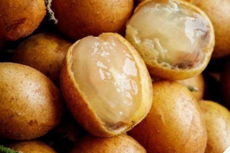 Loại quả gợi nhớ tuổi thơ hóa ra là dược liệu quý - Hình 10 Loai qua goi nho tuoi tho hoa ra la duoc lieu quy-Hinh-10