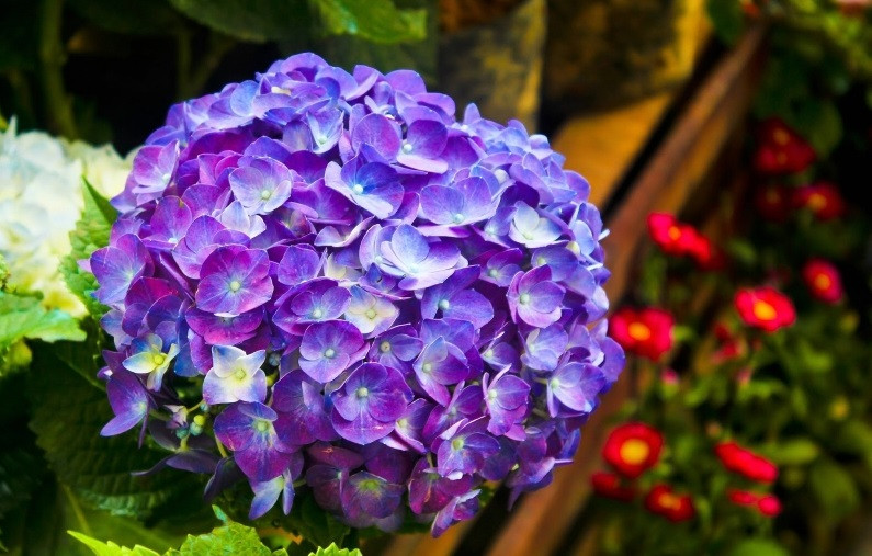 Chuột sa hũ nếp: 3 con giáp cuối tháng 7 kiếm tiền đầy túi - Hình 2 Chuot sa hu nep: 3 con giap cuoi thang 7 kiem tien day tui-Hinh-2