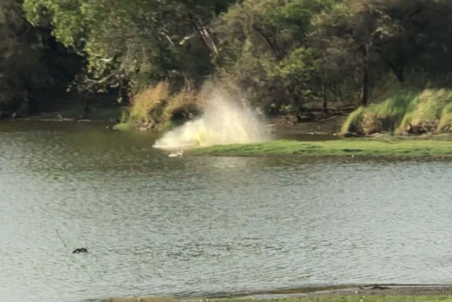 Ho du suyt mat mang vi lao xuong ho san ca sau