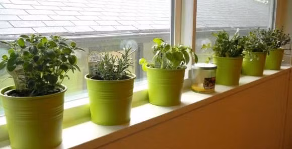 Cua so dat 3 thu nay, dam bao hut tai loc, day bay xui xeo-Hinh-2