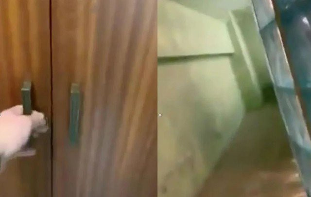 Mo tu quan ao trong phong tam khach san, phat hoang thay thu ben trong