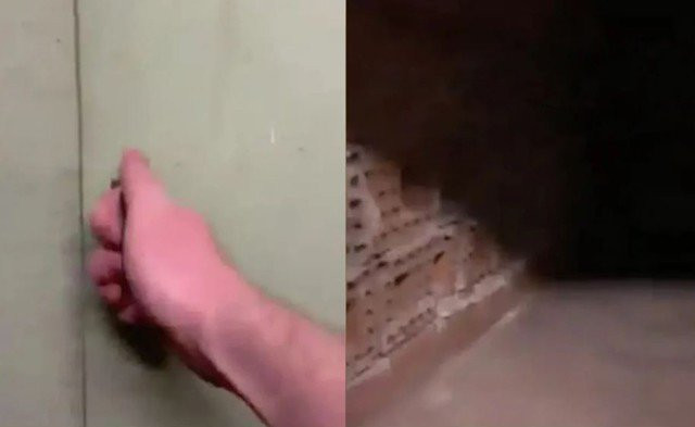 Mo tu quan ao trong phong tam khach san, phat hoang thay thu ben trong-Hinh-2