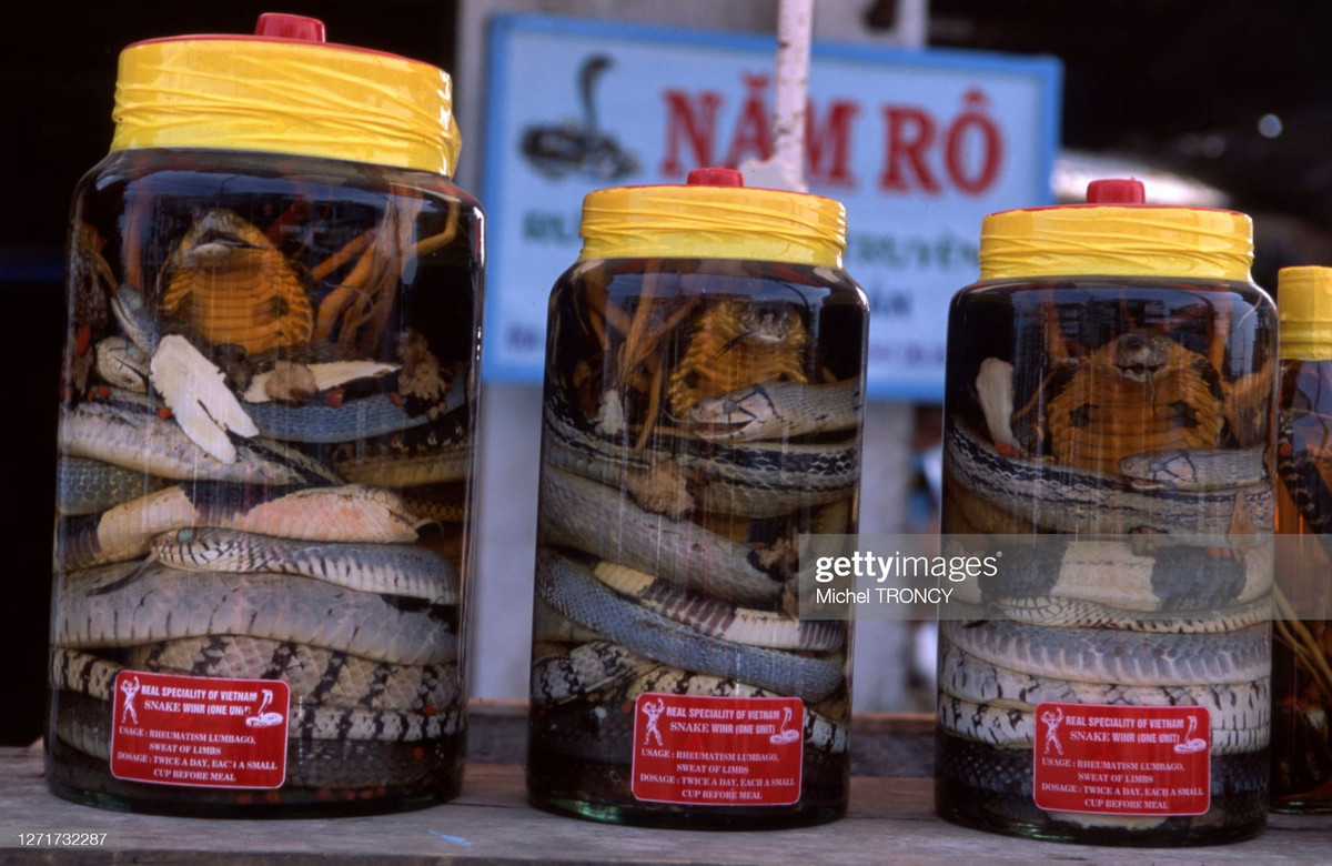 Rượu rắn ở Phụng Hiệp.