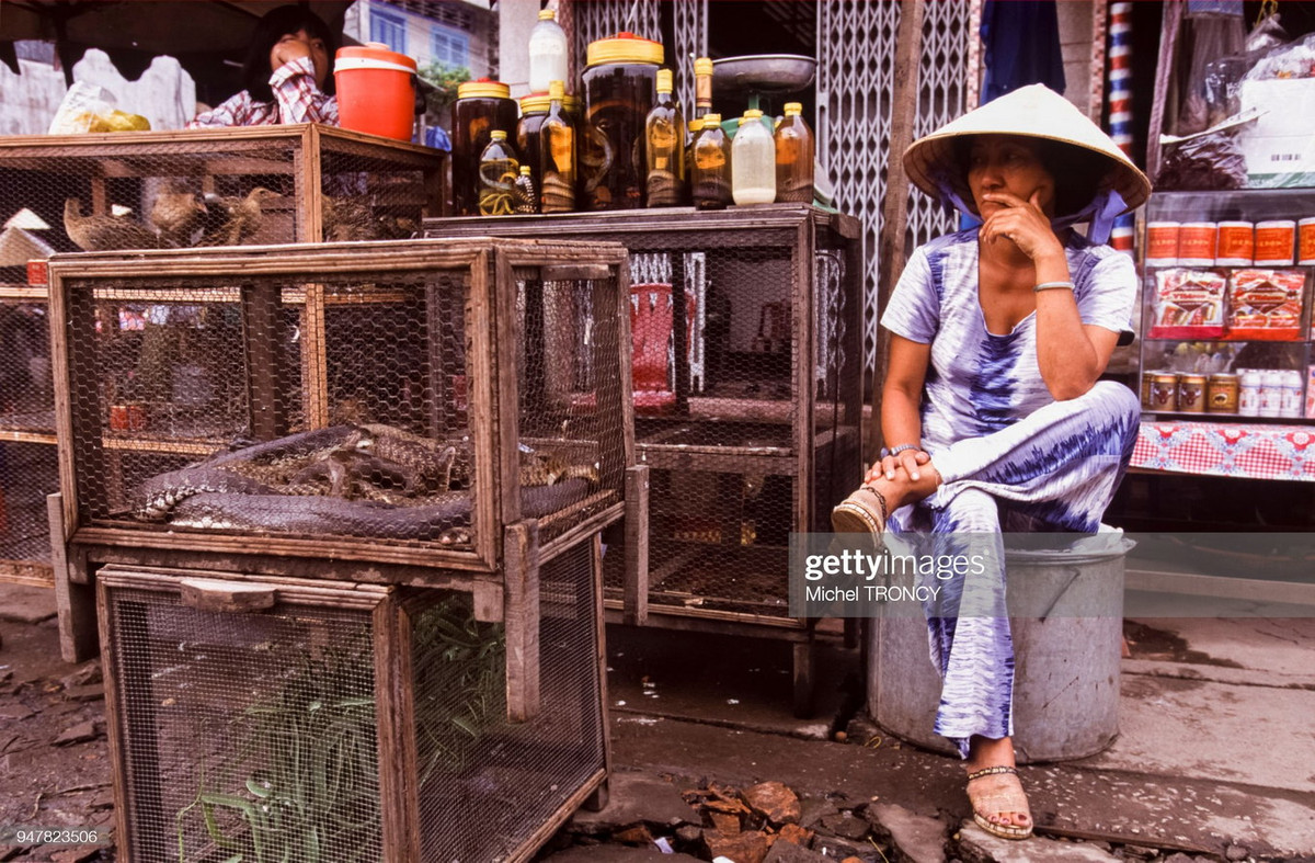 Rắn các loại được bày bán ở một cửa hàng tại Phụng Hiệp, Cần Thơ (nay thuộc Hậu Giang).