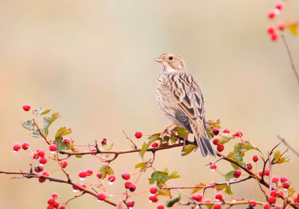 Nguoi sinh vao thang Am nay de gap quy nhan, kiem tien khong kho