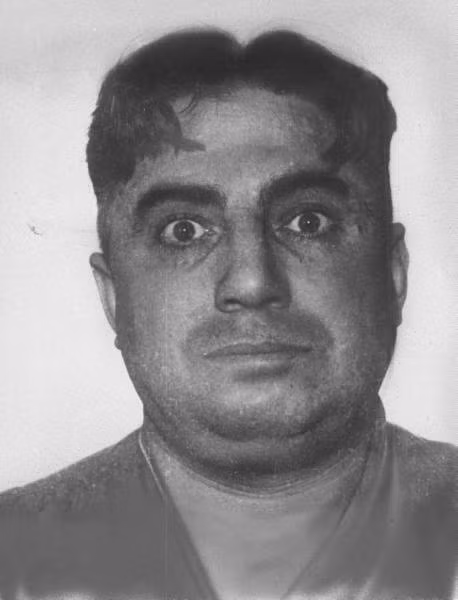 Kẻ chủ mưu vụ cướp là Anthony “Fats” Pino, người đã tuyển một nhóm gồm 10 người đàn ông khác để giám sát kho chứa trong 18 tháng nhằm tìm ra thời điểm kho giữ nhiều tiền nhất.