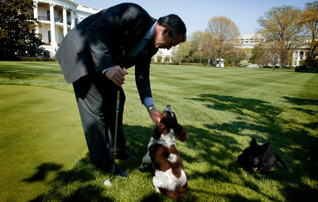 Những chú chó Spot và Barney của Tổng thống thứ 43 George W. Bush. Spot trở nên nổi tiếng vì là con chó duy nhất sống trong Nhà Trắng dưới hai thời chính quyền (nó được sinh ra từ con chó của cố Tổng thống George H. W. Bush).