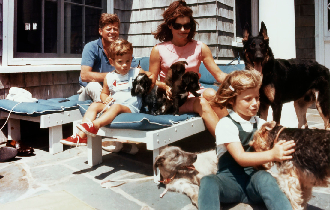 Những chú chó của Tổng thống Mỹ thứ 35 John F. Kennedy. Gia đình ông Kennedy có một số vật nuôi, nhưng Pushinka là con yêu thích nhất. Chú chó này là món quà của Tổng bí thư Đảng Cộng Sản Liên Xô Nikita Khrushchev tặng - là con gái của Strelka, một trong những con vật đầu tiên bay vào vũ trụ và trở về trái đất an toàn trên tàu Korabl-Sputnik 2.