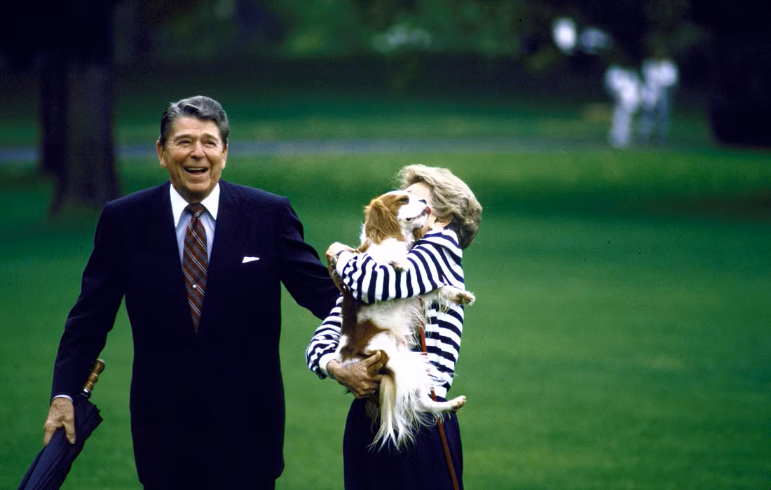 Chú chó giống Spaniel được Tổng thống thứ 40 Ronald Reagan đặt biệt danh là Rex. Như một món quà chia tay, khi nhiệm kỳ của ông kết thúc, Rex được tặng một ngôi nhà dành cho chó ở Nhà Trắng.